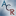 annualcreditreport.com Logo