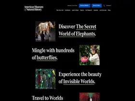 Preview of  amnh.org