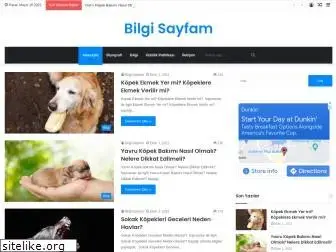 Preview of  bilgisayfam.net