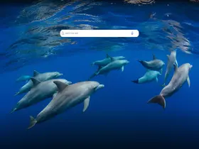 Preview of  bing.com