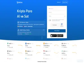 Preview of  bitturk.com