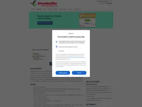 Preview of  driveridentifier.com