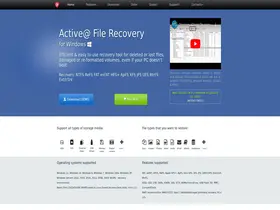 Preview of  file-recovery.com