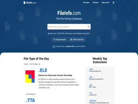 Preview of  fileinfo.com