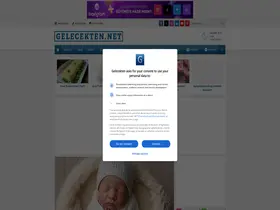 Preview of  gelecekten.net