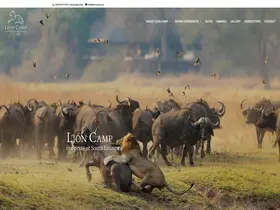 Preview of  lioncamp.com