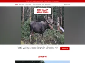 Preview of  moosetoursnh.com