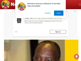 Preview of  newzimbabwe.com