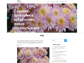 Preview of  oflex.ru