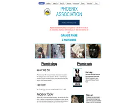 Preview of  phoenixasso.com