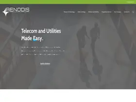 Preview of  renodis.com