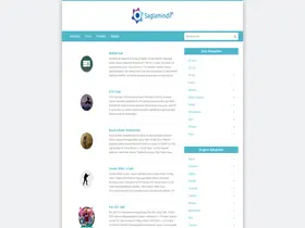 Preview of  saglamindir.net