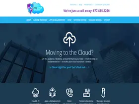 Preview of  teleconsultsolutions.com