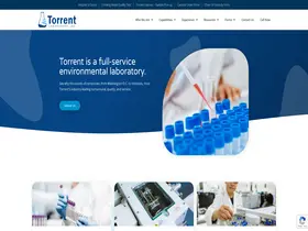 Preview of  torrentlab.com