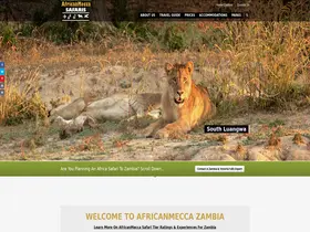 Preview of  victoriafalls-zambiatravel-safaris.com