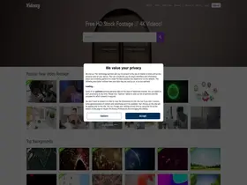 Preview of  videezy.com