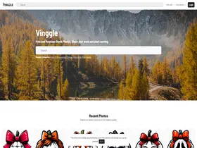 Preview of  vinggle.com