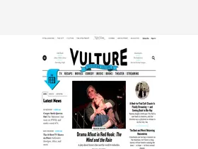 Preview of  vulture.com