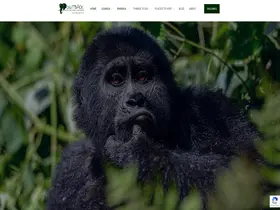 Preview of  wildadventuresafaris.com