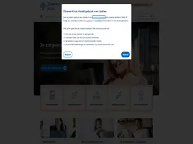 Preview of  zilverenkruis.nl